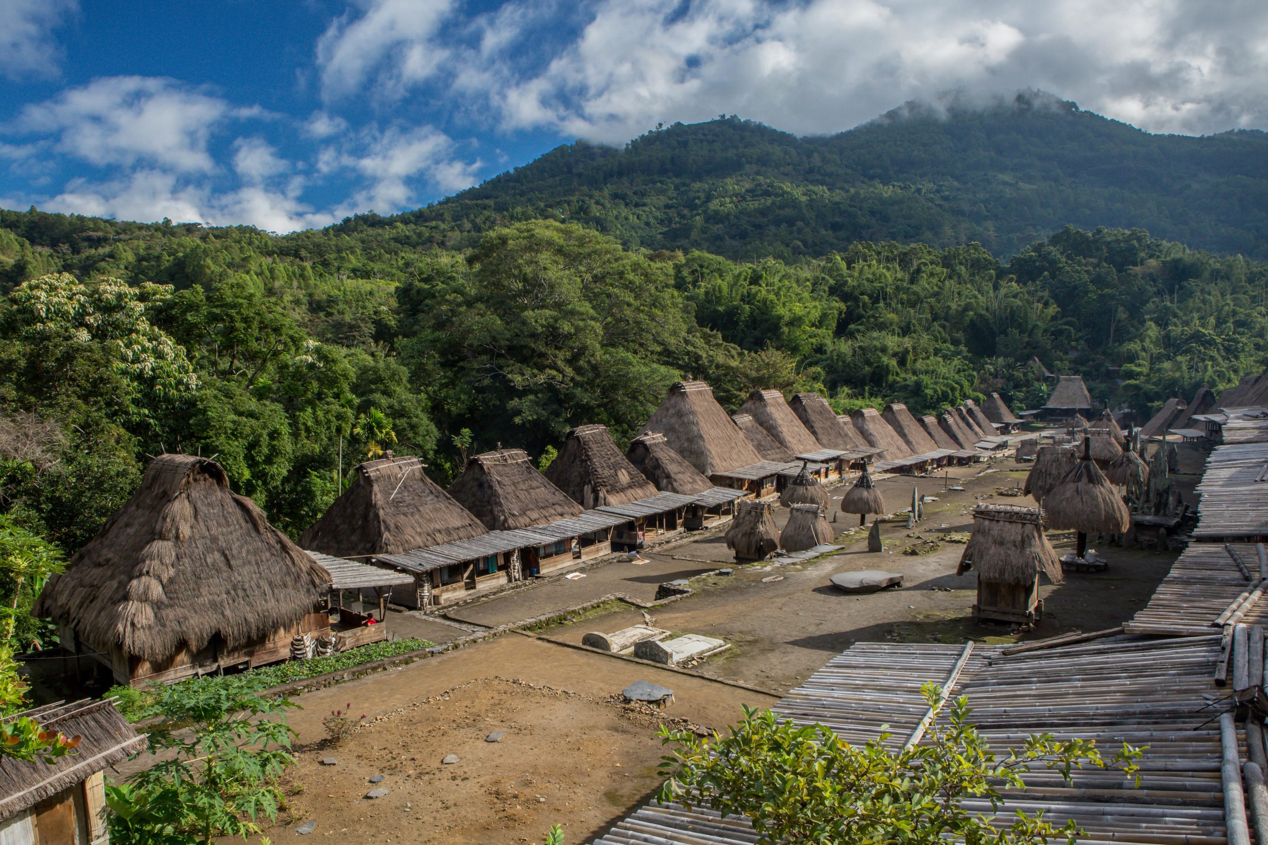 Bajawa