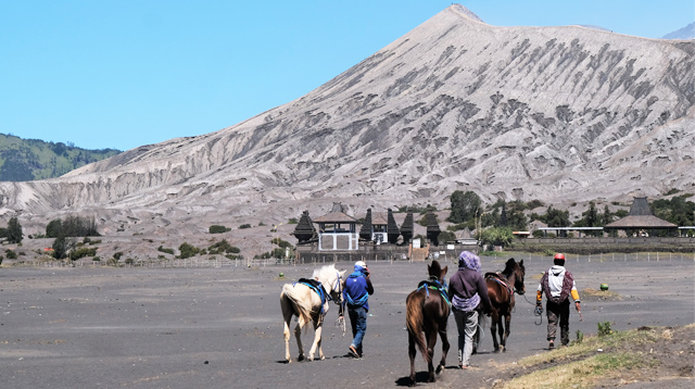 Bromo-berkuda