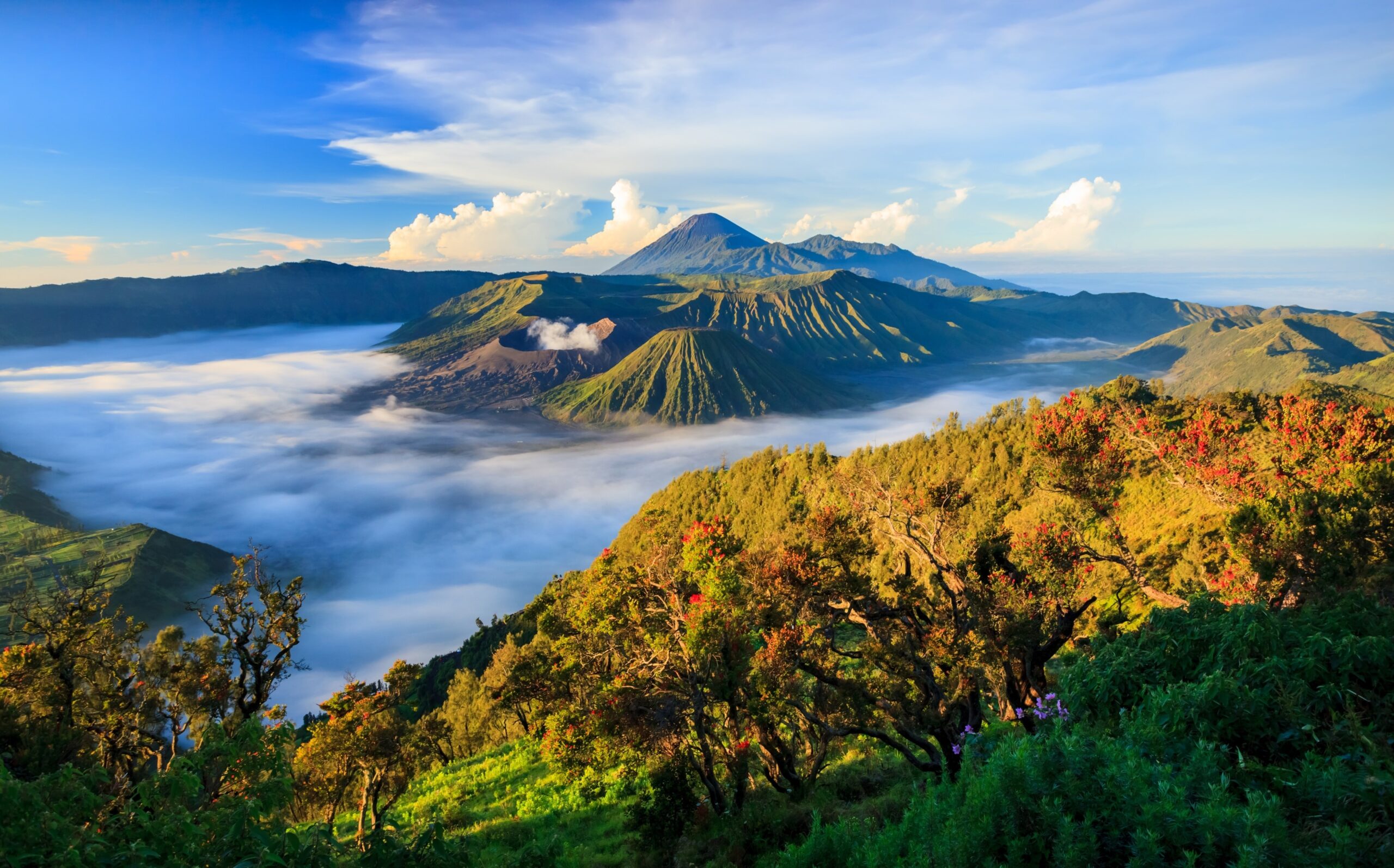 Bromo