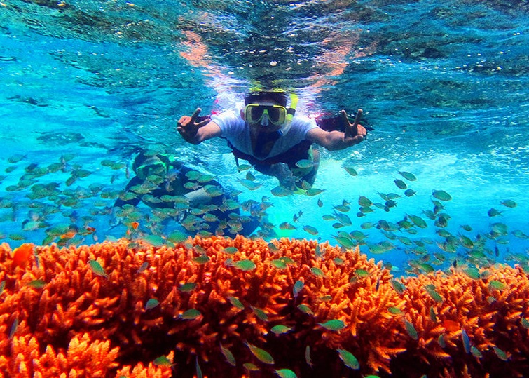 Snorkeling Menjangan