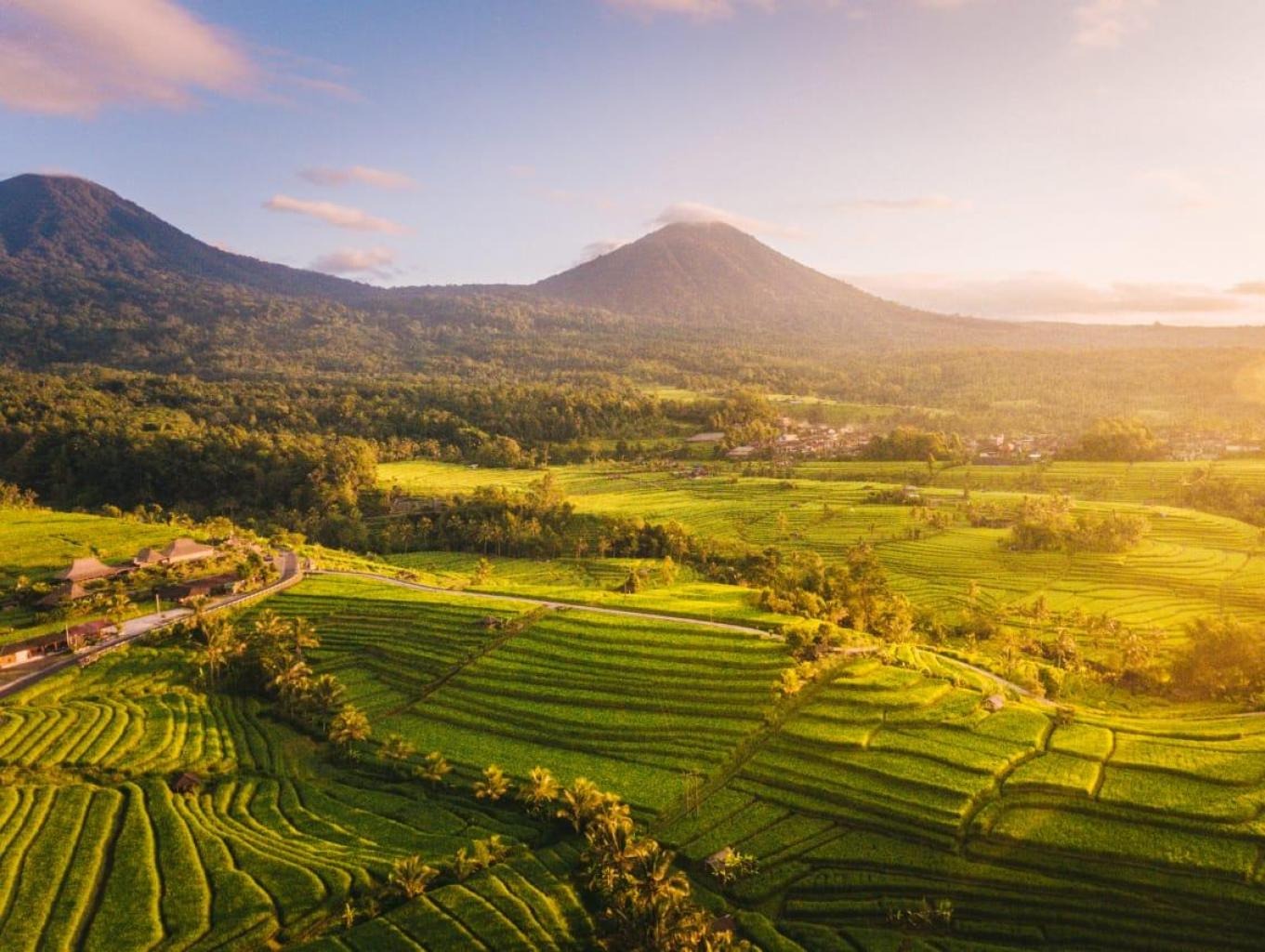 jatiluwih (1)