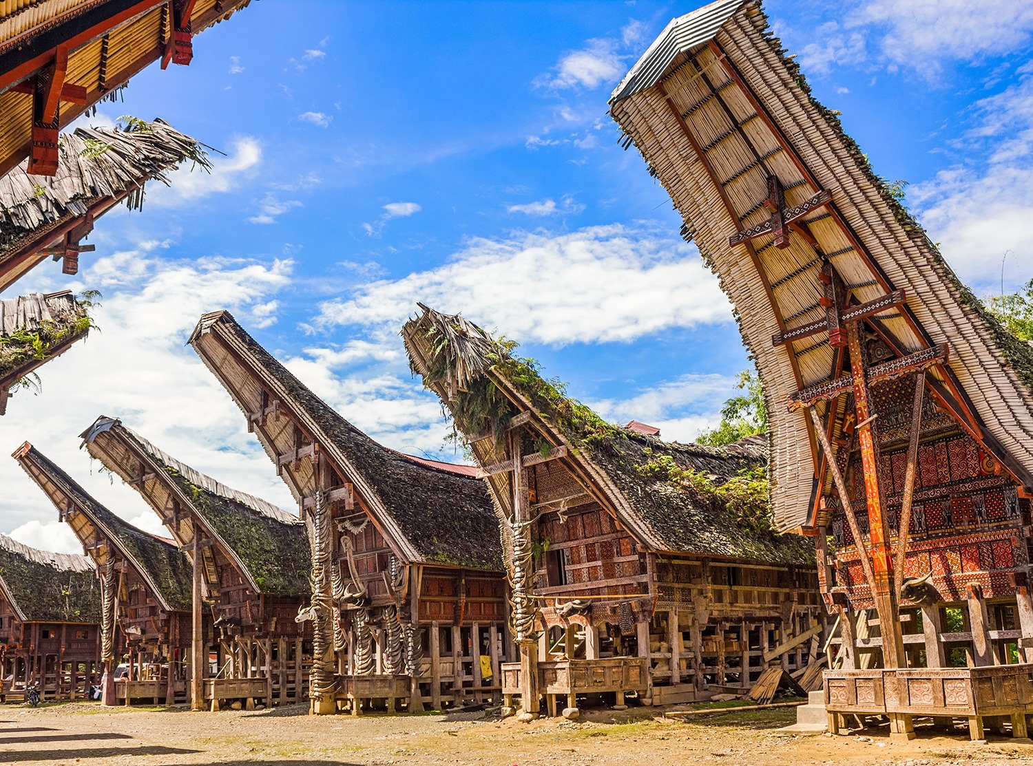 toraja-houses-1500