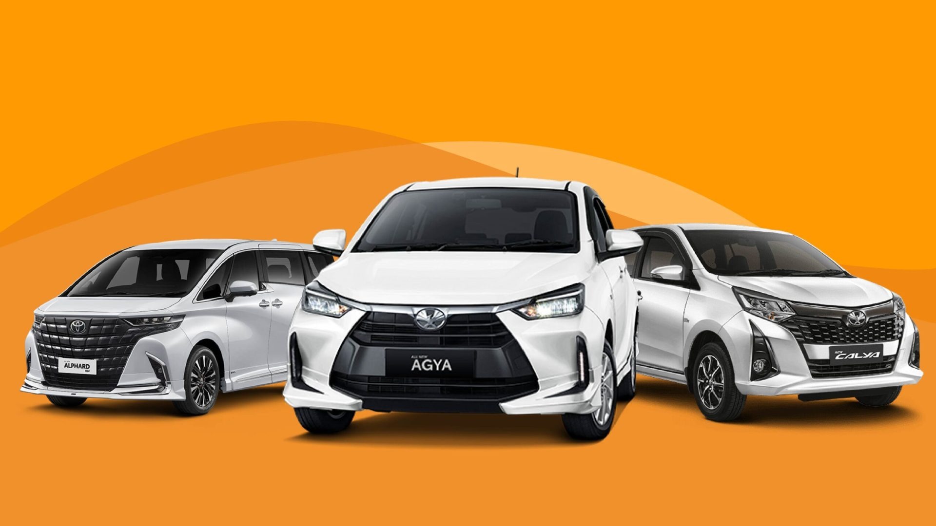 Airport-Transfer-01-scaled-qrv3t